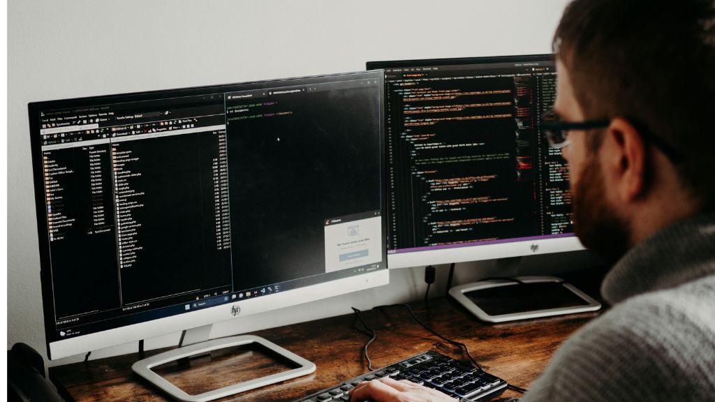 Professional Web Development