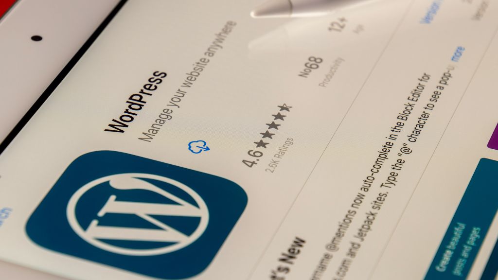 WordPress developer Mumbai