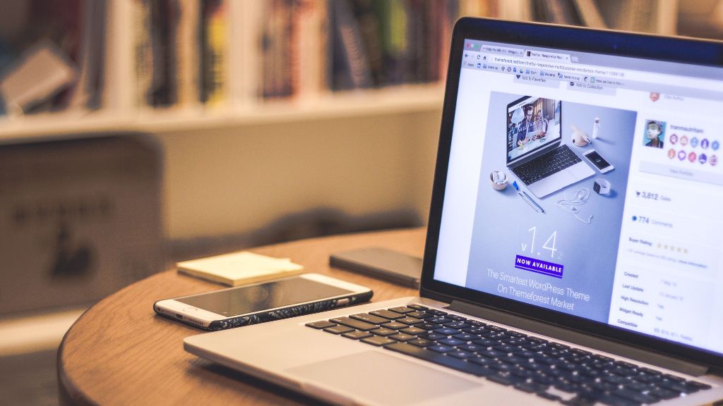 WordPress freelancer for startup