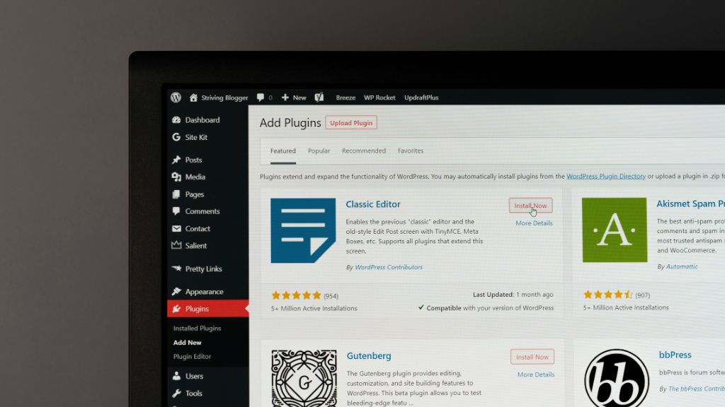 cheap wordpress website india