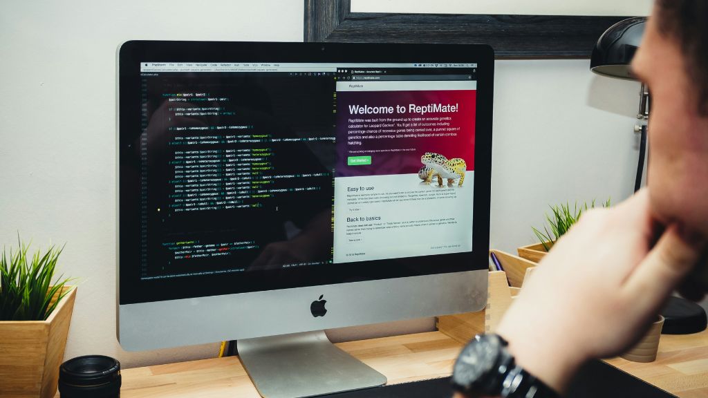 hire freelance WordPress developer India