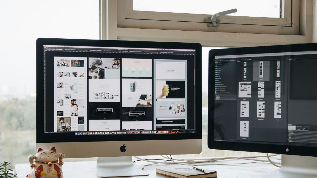 wordpress developer cost india