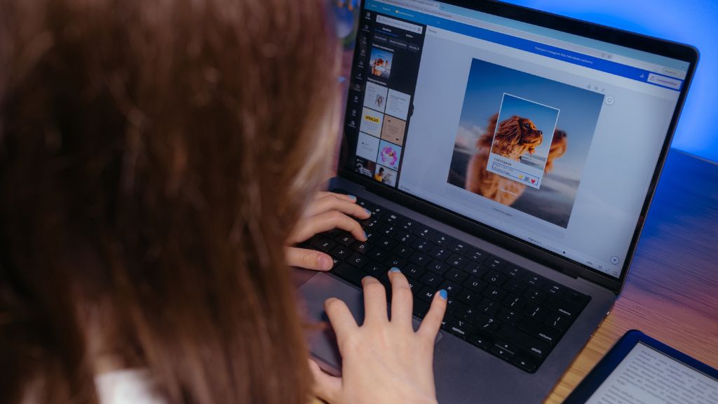 Design your own website Australia comparison showing DIY builder versus professional WordPress development