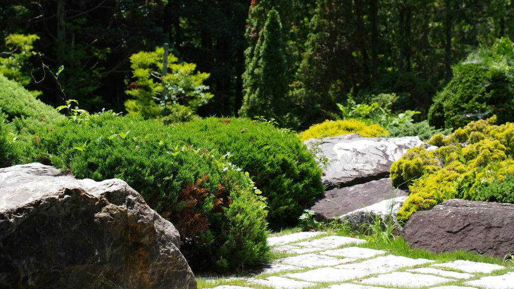 Houston landscaping contractor website built by Mind Magic Technology to rank on Google Texas