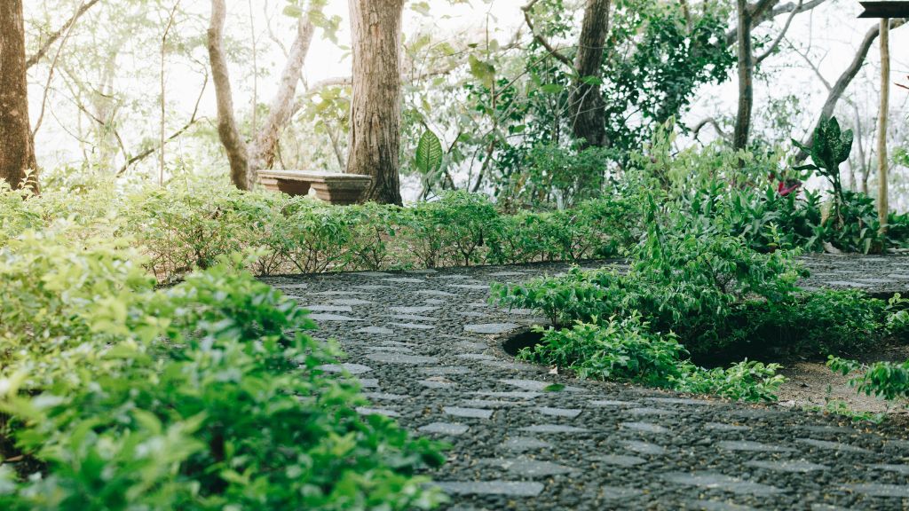 Landscaping business website Houston TX showing professional lawn care WordPress site with project gallery