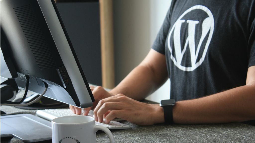 WordPress monthly maintenance service